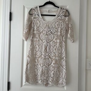 Sheer Lace Embroidered Mini Dress